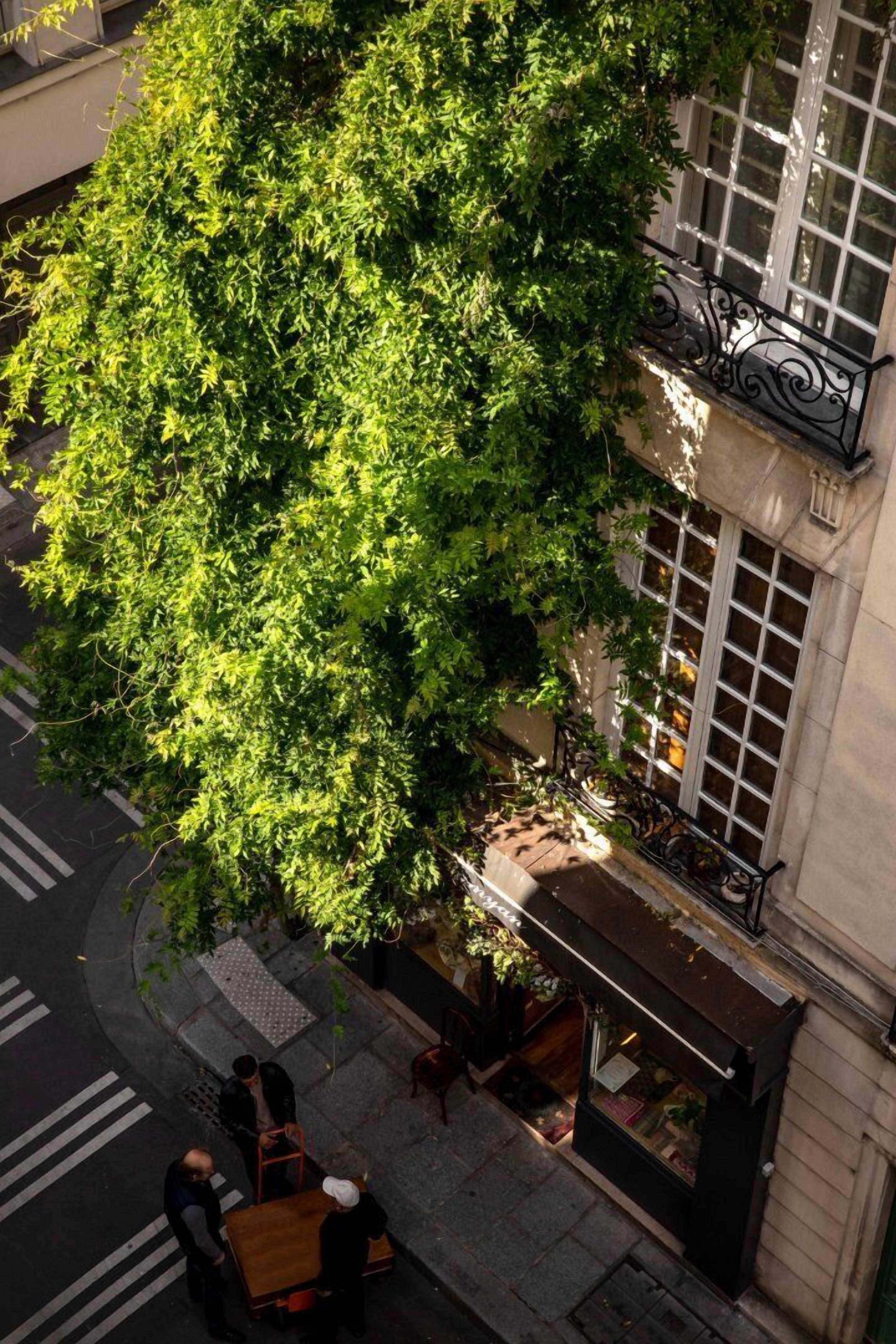 Des Deux-iles - Notre-dame Parigi