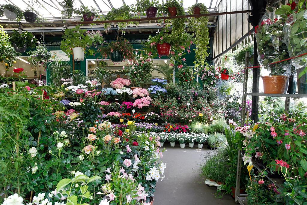Hotel Des Deux-iles - Notre-dame Parigi